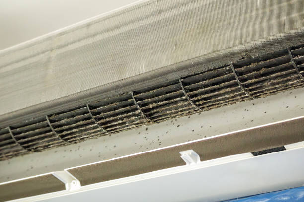 Best Commercial Air Duct Cleaning  in Gladeville, TN