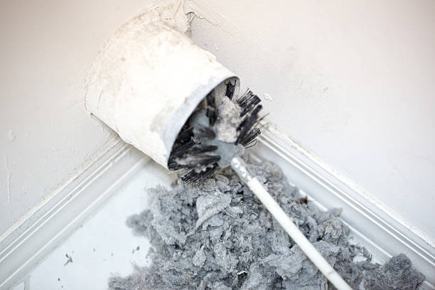 Best Local Air Duct Cleaning Services  in Gladeville, TN